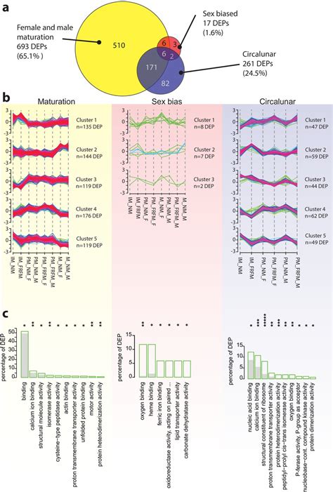 Combined Transcriptome And Proteome Profiling Reveals Specific Molecular Brain Signatures For