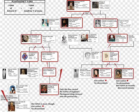 Kings And Queens Of England Family Tree Poster - leafonsand