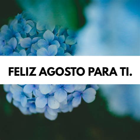 Imagenes Bonitas Y Pensamientos Positivos Frases Para Agosto