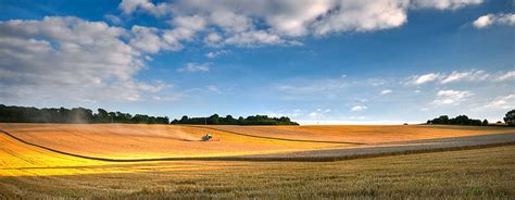 Hd Wallpaper Crop Field Panoramic Photoraphy Wheat Field Sunset Summer Wallpaper Flare