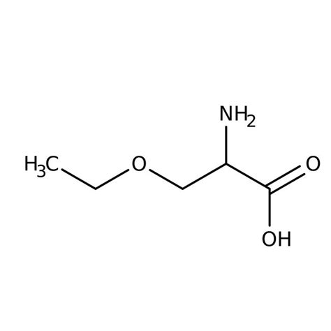 O Ethoxy L Serine Hydrochloride 97 Thermo Scientific Fisher Scientific