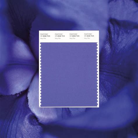 BDA London On Instagram Pantone Has Revealed Its Colour Of The Year