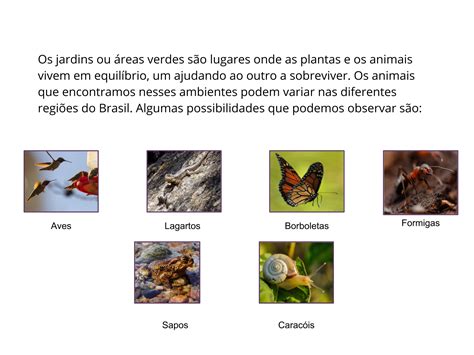 Cite Representantes Dos Grupos De Animais E De Plantas Listados