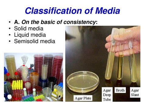 Ppt Microbiology Powerpoint Presentation Free Download Id 8072110