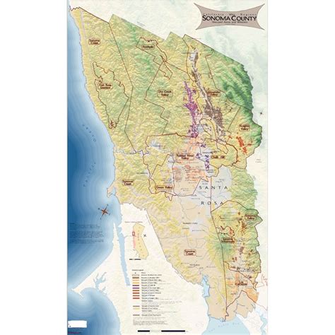 Wine Regions Of Sonoma County On Canvas