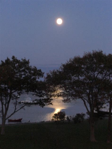 Moon rising over water | Moon on the water, Moonscape, The moon is ...