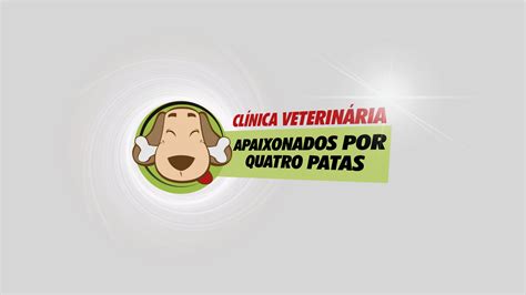 Apaixonados Por Quatro Patas