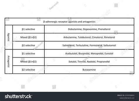 Table Showing Classification Β Adrenergic Receptor Stock Vector