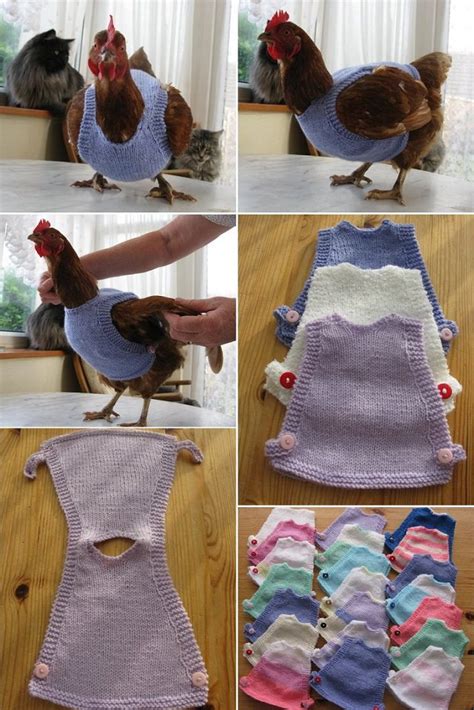 DIY Chicken Sweaters | iCreatived