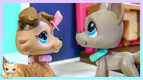 Lps Love Story Love Is Blind Episode 4 The Biology Project Youtube