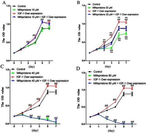 Full Article Mifepristone Inhibits Igf 1 Signaling Pathway In The