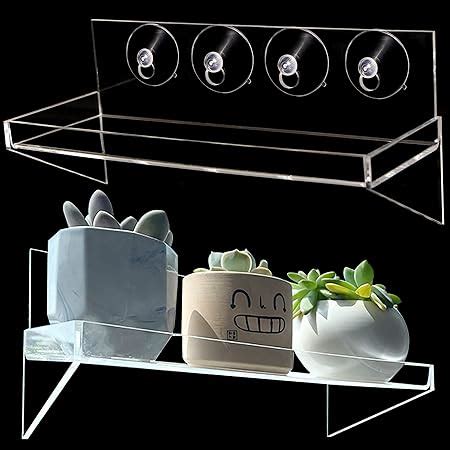 Amazon Pack Suction Cup Shelf For Plants Window Inch