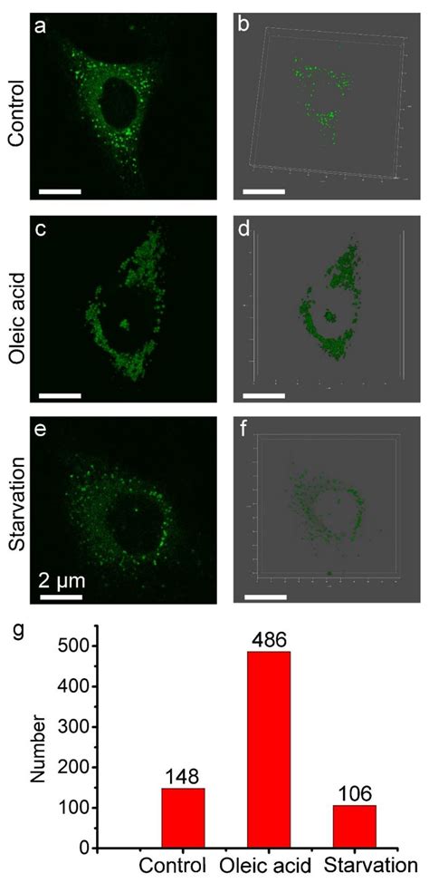 Targets Free Full Text Unit Emitting Carbon Dots For Cell Imaging