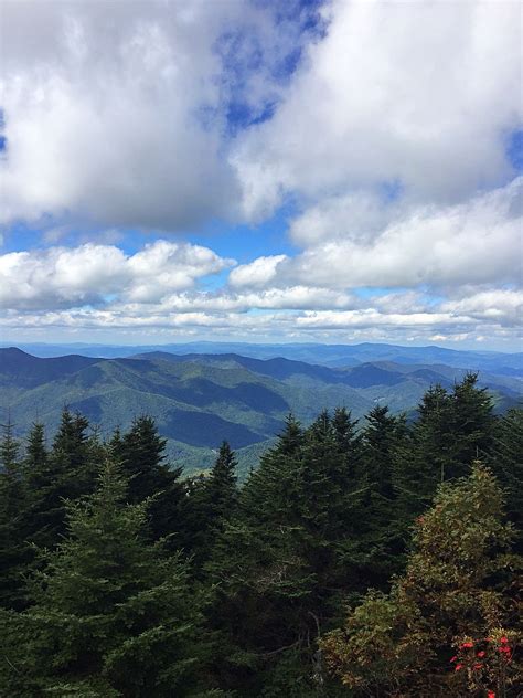 Mount Mitchell State Park | State parks, Natural landmarks, Nature