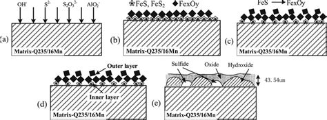 Schematic Diagram Of Electrochemical Corrosion Process A Q235 Steel