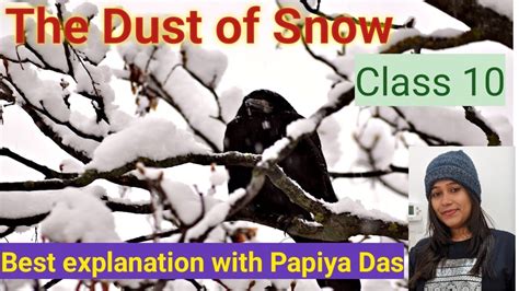 Dust Of Snow By Robert Frost NCERT English Class 10 Best Explanation