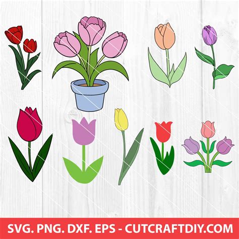 Tulip SVG Tulips SVG Tulip Clipart Tulip Png Tulips Png