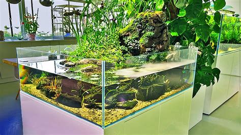 Beautiful Nature Inspired Aquarium Gallery YouTube