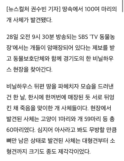 Tv동물농장 생매장된 100여마리 개 사체잘 보살폈다 땅주인의 거짓말 유머움짤이슈 에펨코리아