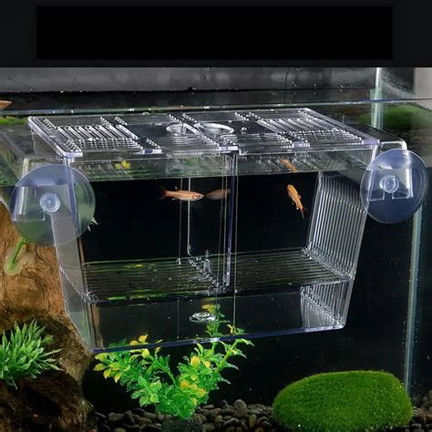 3 Types Acrylic Fish Breeding Isolation Box Betta Fish Aquarium Breeder