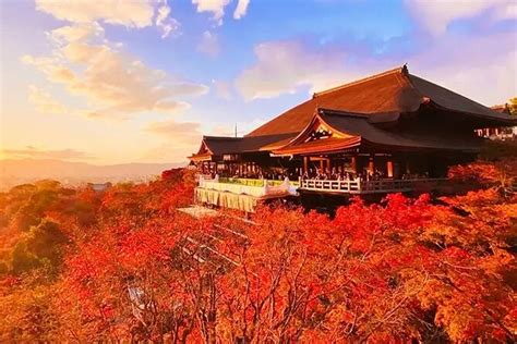 Kiyomizu Tempel Fushimi Inari Und Nara Park Tagestour Kyoto Osaka Zur