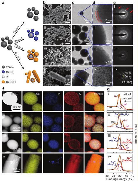 Morphology And Composition Characterization Of Citrate Coated Egain Nps