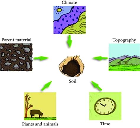 2 The soil forming factors. | Download Scientific Diagram