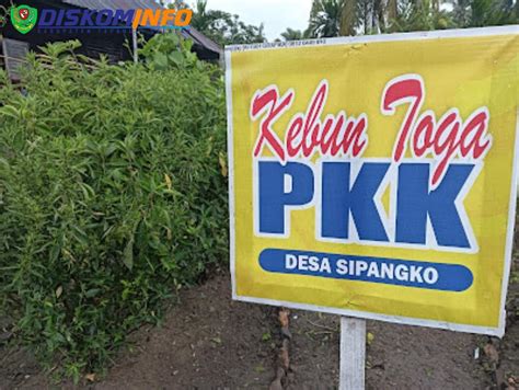 Pemkab Tanaman Toga Desa Sipangko Mulai Sambung Nyawa Sampai Sambiloto