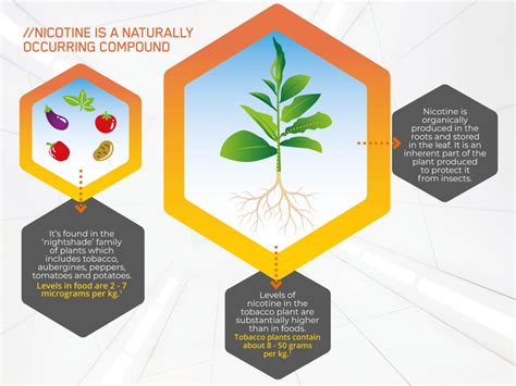 What Is Nicotine Imperial Brands Science