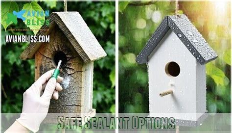 DIY Bird House Waterproof Sealant: Safe & Easy Protection Guide