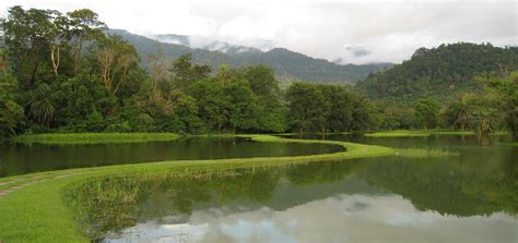 Taiping Lake Gardens, Malaysia