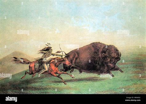 Native american indian hunting buffalo hi-res stock photography and ...