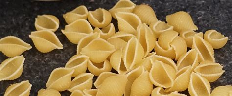 Conchiglie - Small | Share the Pasta