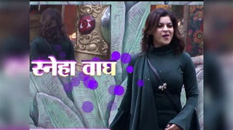 Bigg Boss Marathi 3 Evicted Contestant Sneha Wagh Re Enters The House