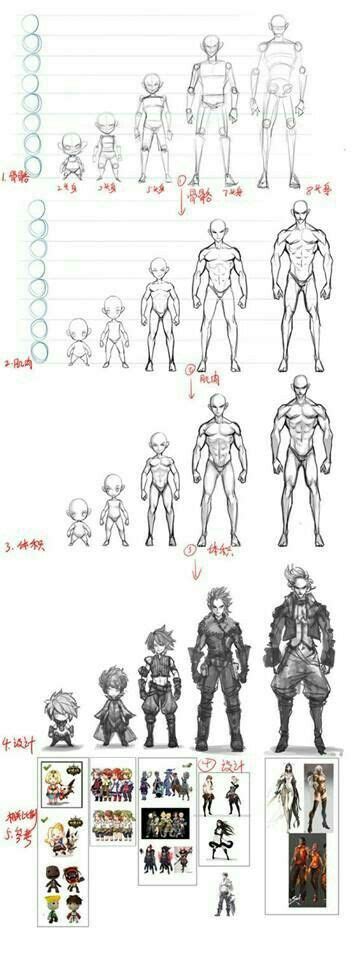 pin  artdaily  size refrence character design references drawing