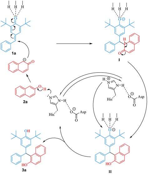 Proposed reaction mechanism of the lipase-catalyzed 1,6-conjugated ...