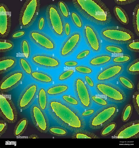 D Bacteria High Resolution Stock Photography And Images Alamy