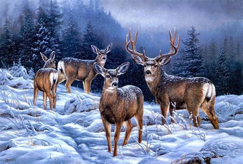 Reindeer Wallpapers - Wallpaper Cave