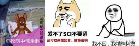 22套科研表情包大放送，我怀疑它精准监控了我的日常 知乎