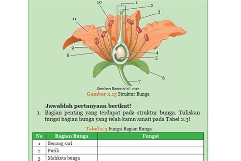 Kunci Jawaban Ipa Kelas 9 Halaman 65 Tabel 2 3 Mengamati Struktur