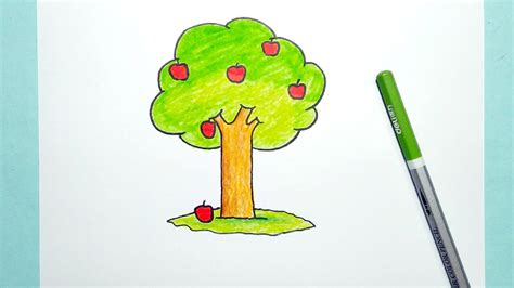 How To Draw A Apple Tree