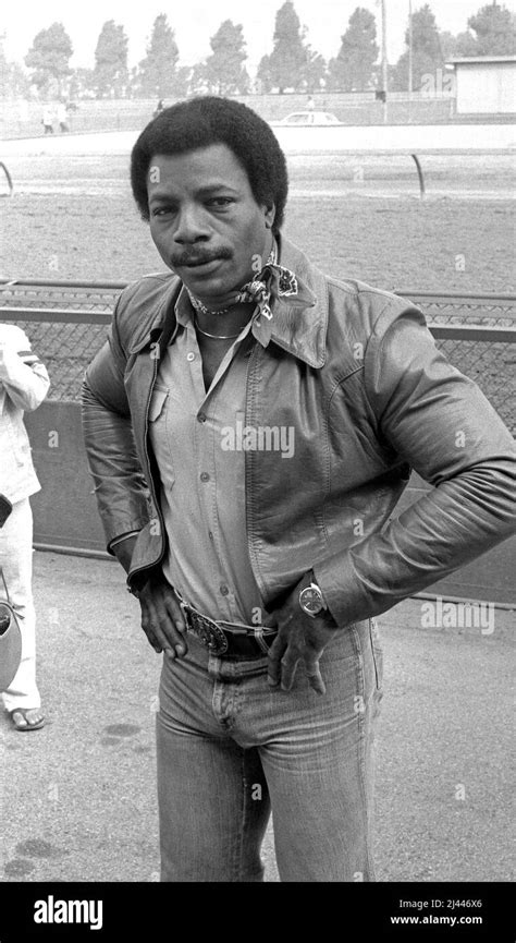 Lacteur Carl Weathers Plus Connu Sous Le Nom Dapollo Creed Dans Les