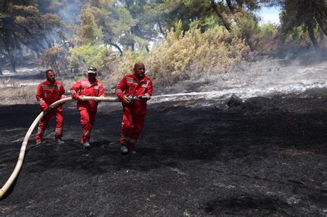 Forcat e Armatosura të Shqipërisë në luftë me zjarrin fotografi nga