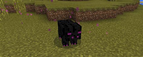 Enderpig Addon Minecraft Pe Mods And Addons