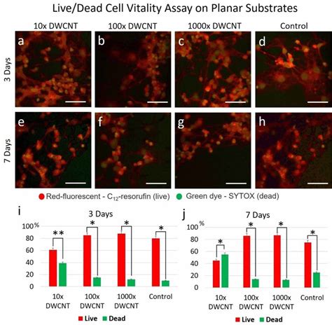 Livedead Cell Vitality Assay On Planar Pc Substrates Treated With