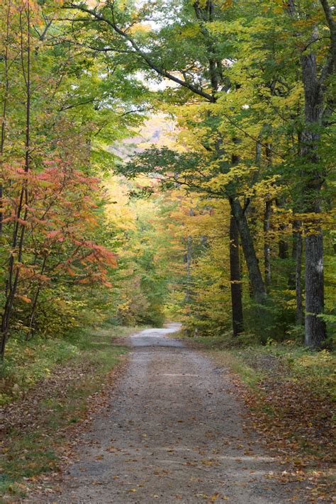 Autumn Country Road • Free Nature Stock Photo