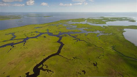 Big Step Forward for $50 Billion Plan to Save Louisiana Coast - The New