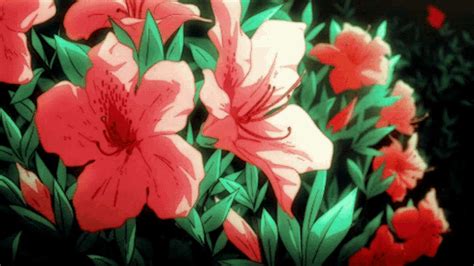 Tiger Lilies Anime  Tiger Lilies Anime Flowers Descobrir E Compartilhar S