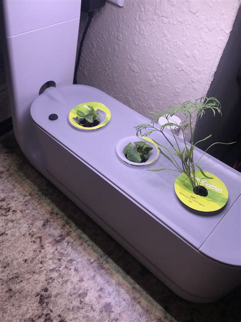 Aerogarden newbie! And tips and tricks I should know?! : aerogarden