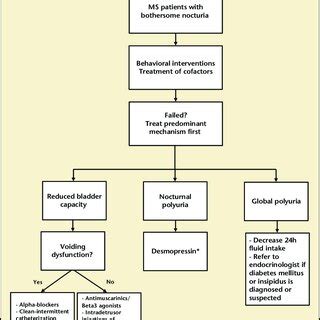 Treatment algorithm of nocturia in multiple sclerosis (MS) patients ...